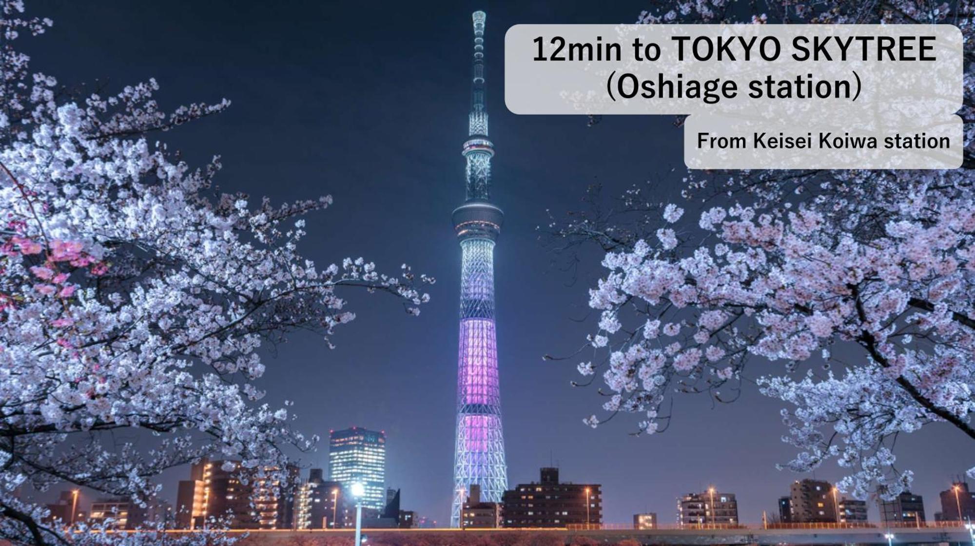 Asahistay -Koiwa, Free Parking O, Whole Family House, Japanese Garden Taste โตเกียว ภายนอก รูปภาพ